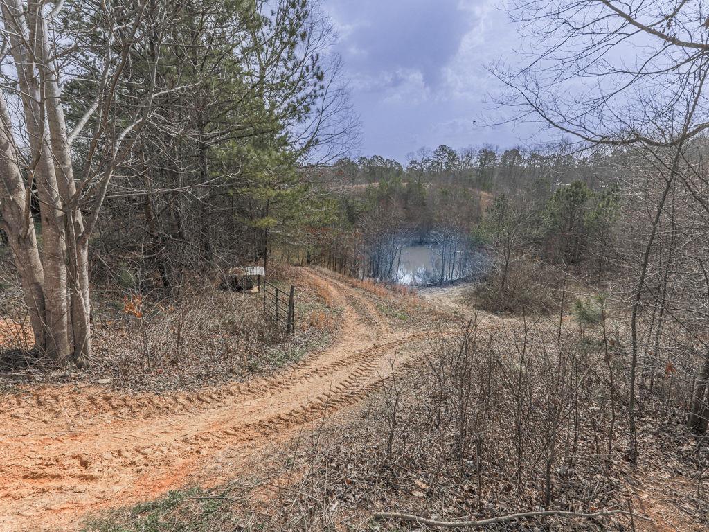 2810 Little Refuge Road Road, Waleska, Georgia image 17