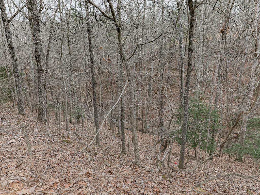2810 Little Refuge Road Road, Waleska, Georgia image 34