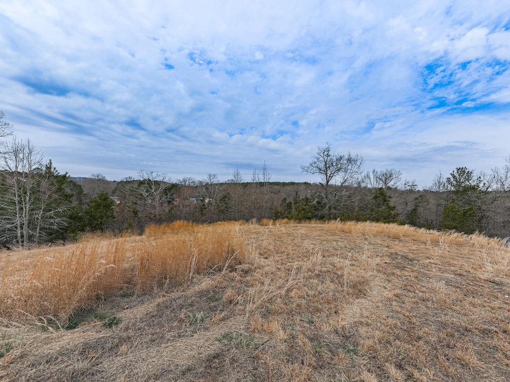 2810 Little Refuge Road Road, Waleska, Georgia image 38