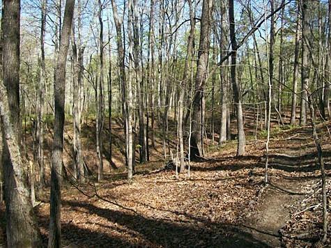 Brandy Mountain Road, Dahlonega, Georgia image 2