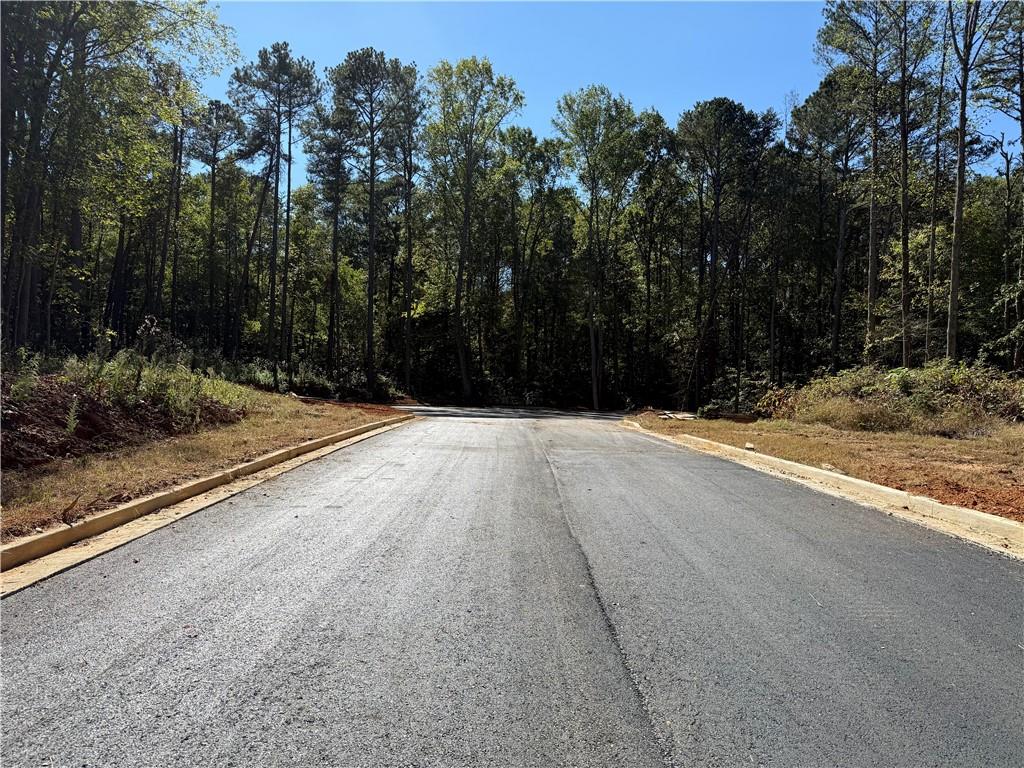 003 Dottie Lane, Talking Rock, Georgia image 6