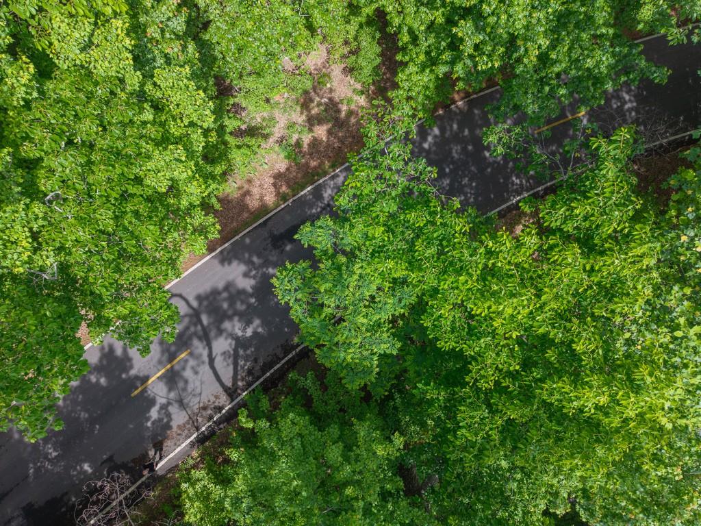 8116 Disharoon Drive, Big Canoe, Georgia image 7