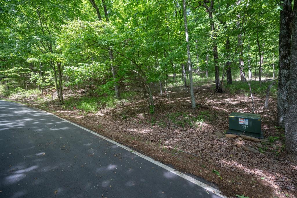 8116 Disharoon Drive, Big Canoe, Georgia image 14
