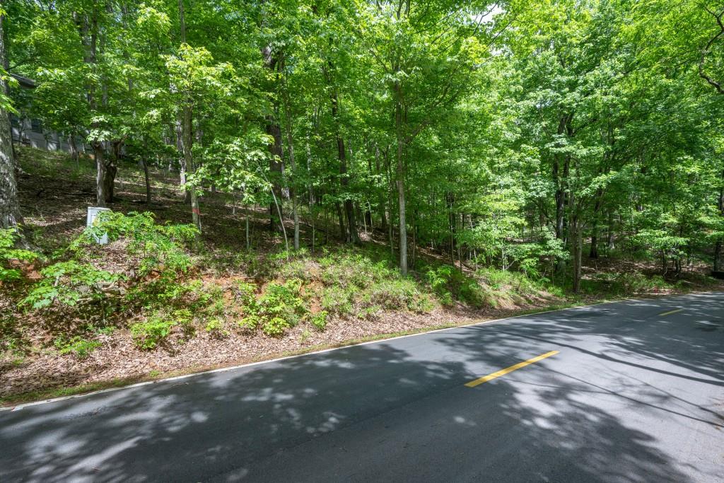 8116 Disharoon Drive, Big Canoe, Georgia image 13