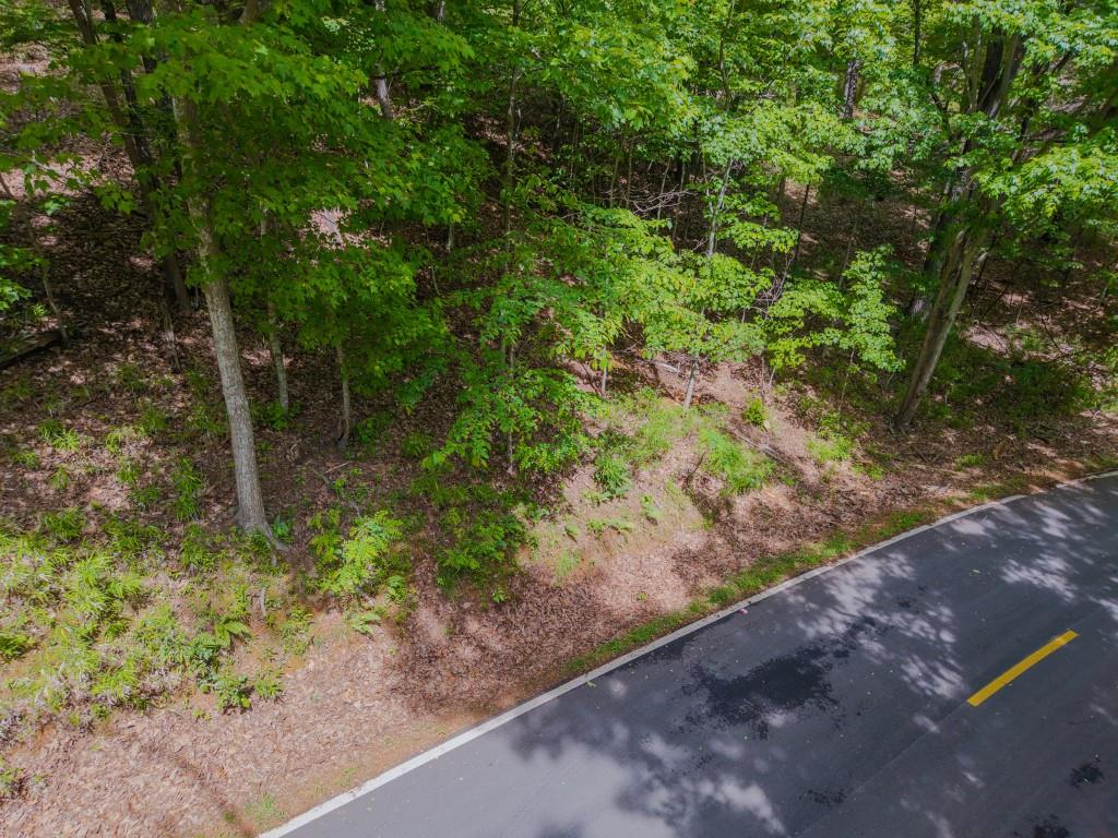 8116 Disharoon Drive, Big Canoe, Georgia image 6