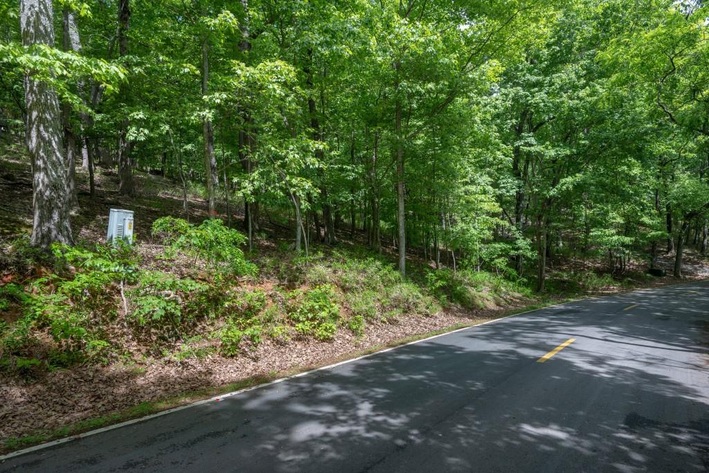8116 Disharoon Drive, Big Canoe, Georgia image 11
