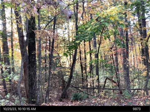 Vacant Land For Sale - - Andros Court<br/> Gilmer County, Ellijay, GA 30540