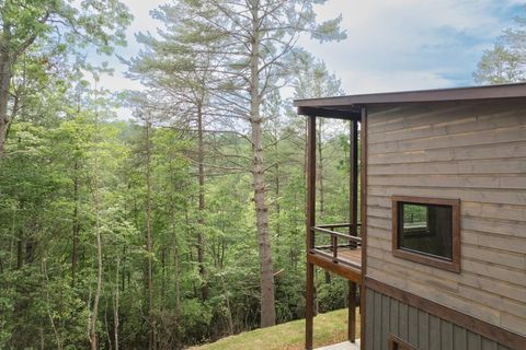 A home in Mineral Bluff