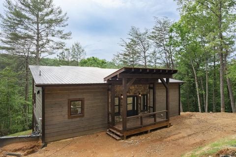 A home in Mineral Bluff