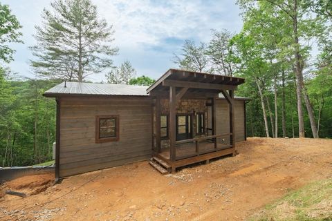 A home in Mineral Bluff