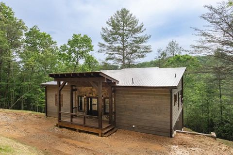 A home in Mineral Bluff