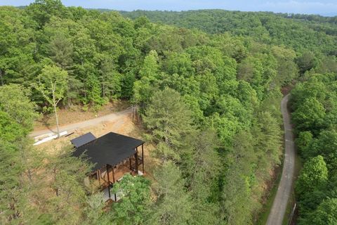 A home in Mineral Bluff