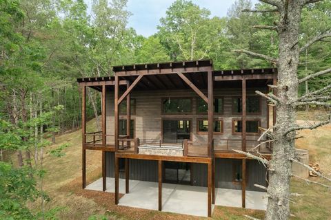 A home in Mineral Bluff