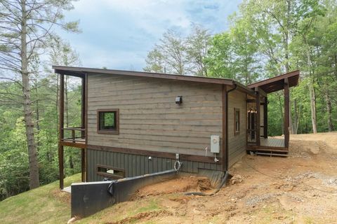 A home in Mineral Bluff