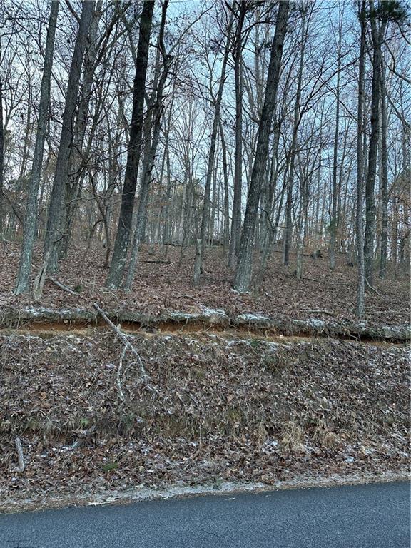 1148 Cokers Chapel Road