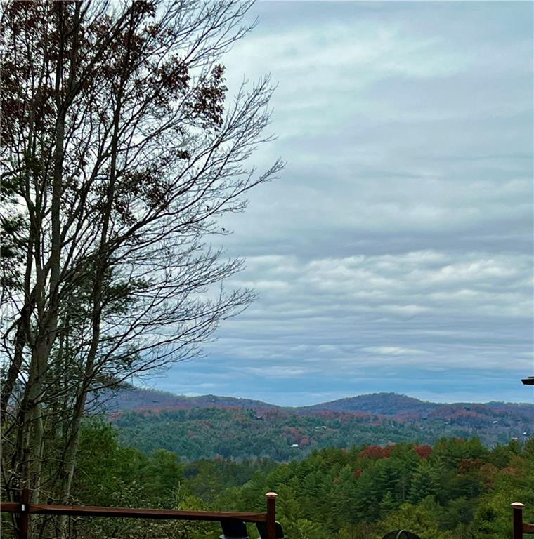 Laurel Creek Way, Ellijay, Georgia image 3