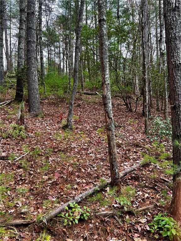 Laurel Creek Way, Ellijay, Georgia image 13