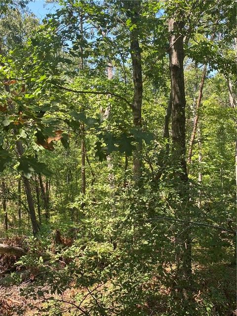 A home in Ellijay