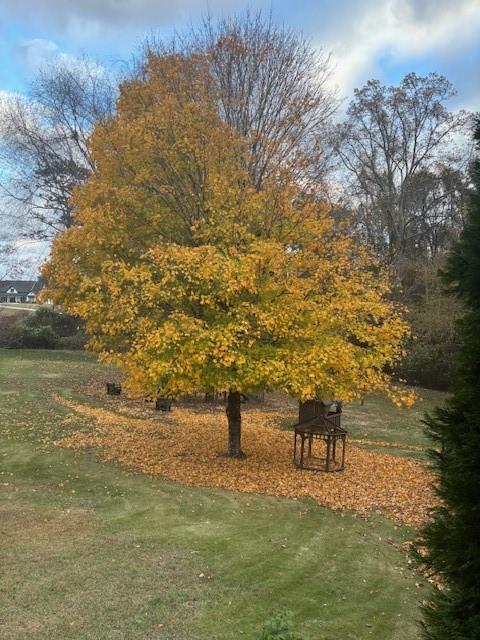 none - 4.26 Acres - Residential