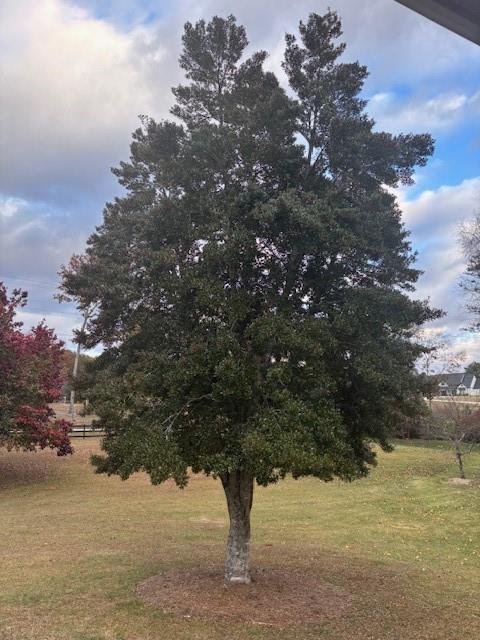 none - 4.26 Acres - Residential