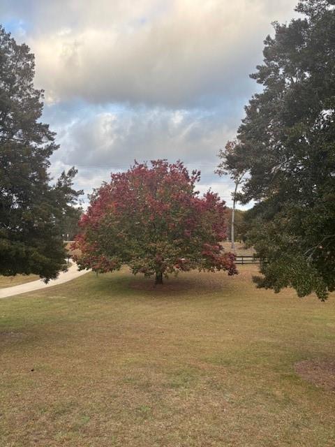 none - 4.26 Acres - Residential