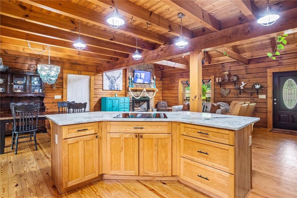 203 River Ridge Drive, Pendergrass, Georgia image 22