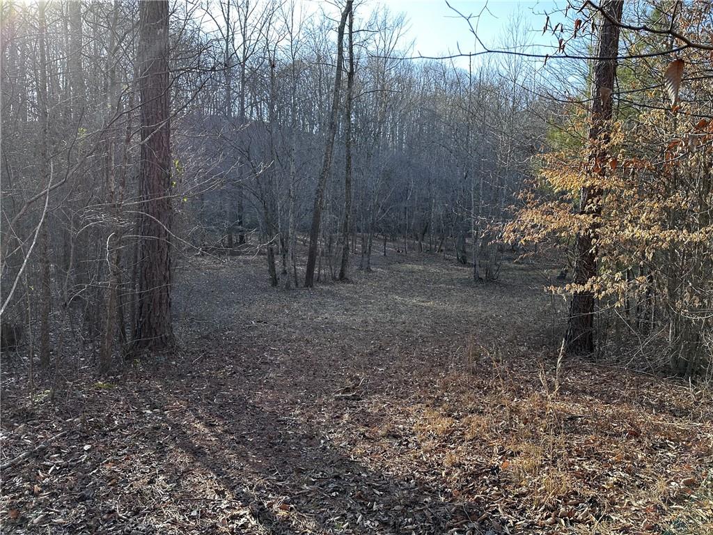 758 Town Creek Church Road, Talking Rock, Georgia image 35