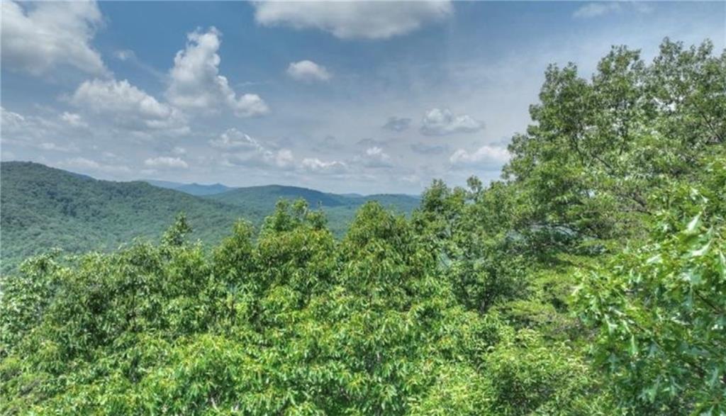 LOT 5 Heights Overlook, Cherry Log, Georgia image 6