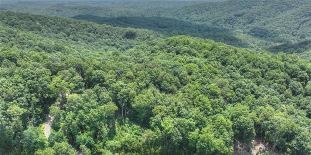 LOT 5 Heights Overlook, Cherry Log, Georgia image 4