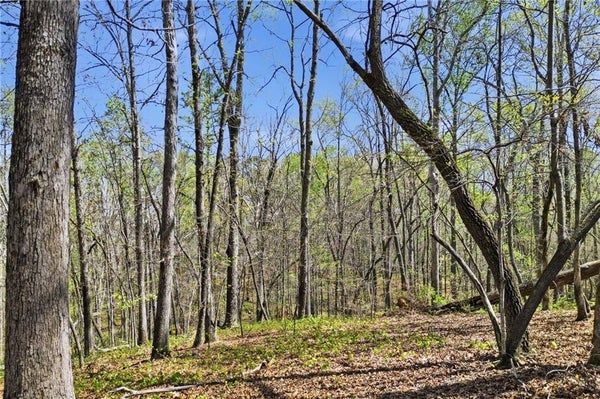 144 HERITAGE PLANTATION DR, BALL GROUND, GA 30107 - Image 3eecb994fdae90572ee7f3ff8c09df05/646550521