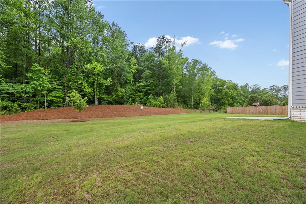 4827 Golden Finch Lane, Powder Springs, Georgia image 29