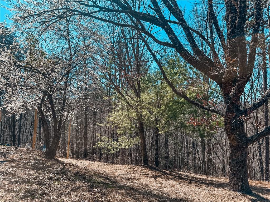 233 Hillstream Drive, Dahlonega, Georgia image 14