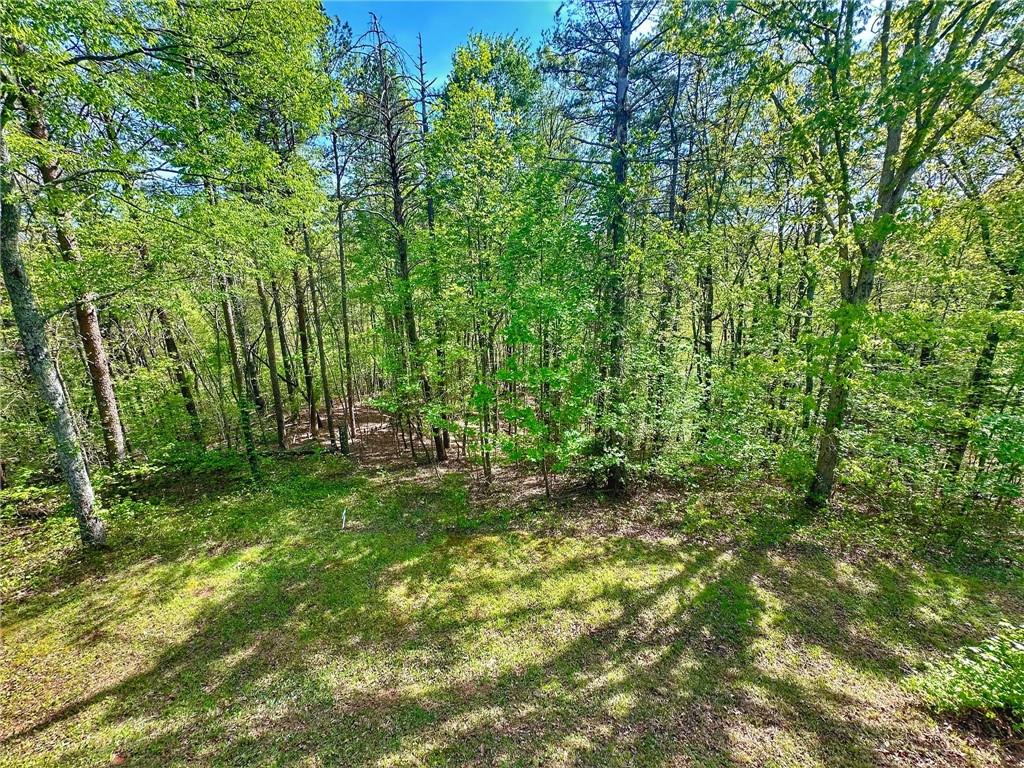 233 Hillstream Drive, Dahlonega, Georgia image 49