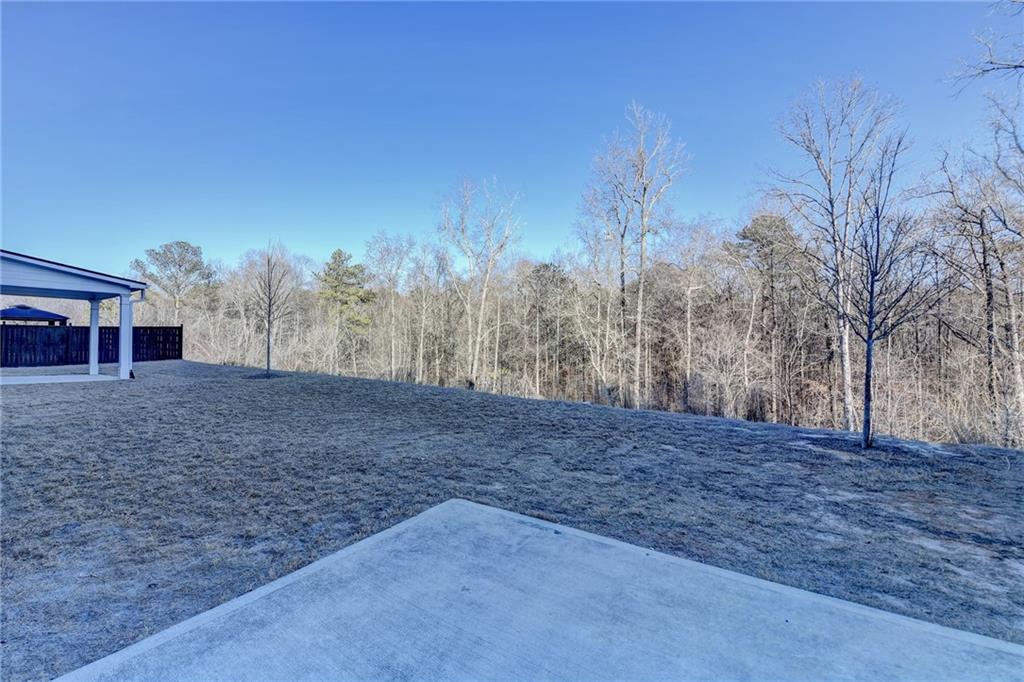209 Yaupon Trail, Braselton, Georgia image 19