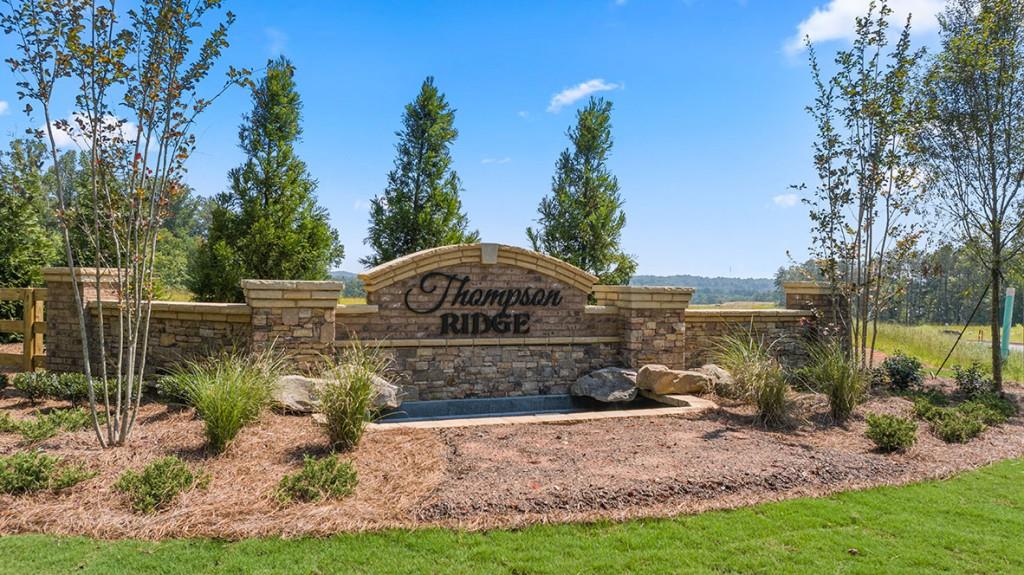 193 Thompson Ridge Lane, Dallas, Georgia image 35