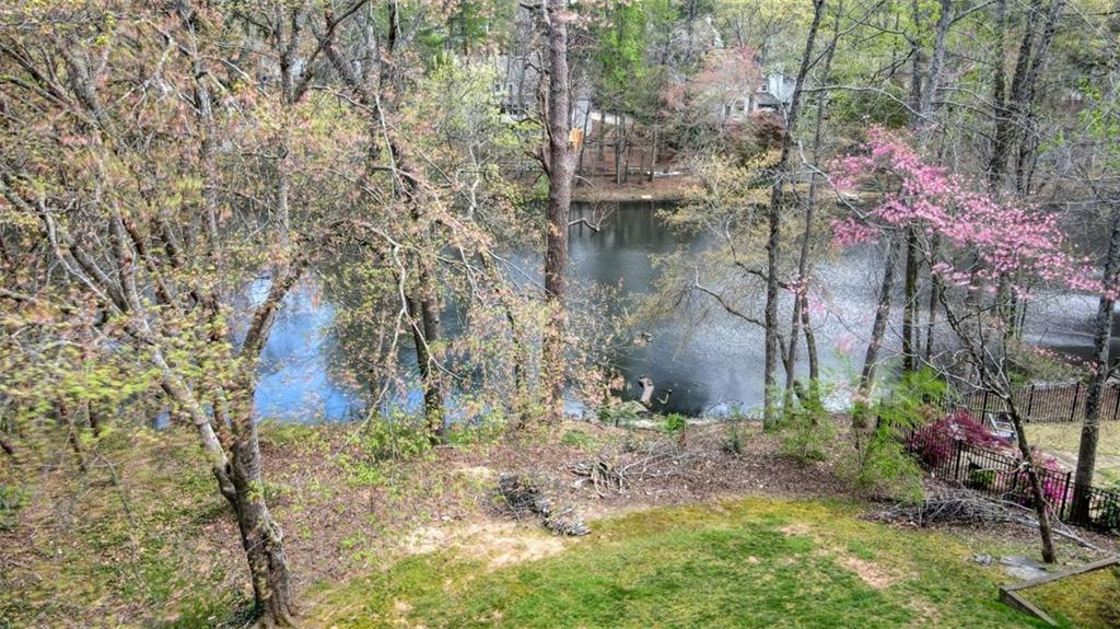 1510 Wood Thrush Way, Marietta, Georgia image 6