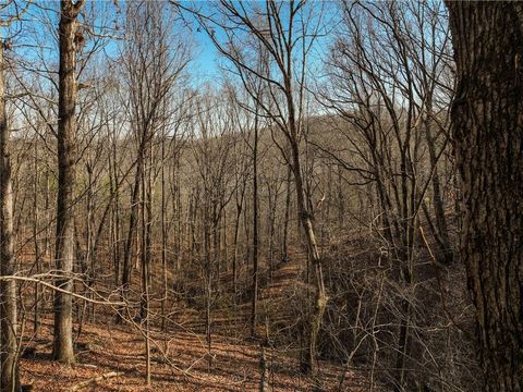 Vacant Land For Sale - LOT 10 Mount Mincie Road<br/> Murrayville, GA 30564