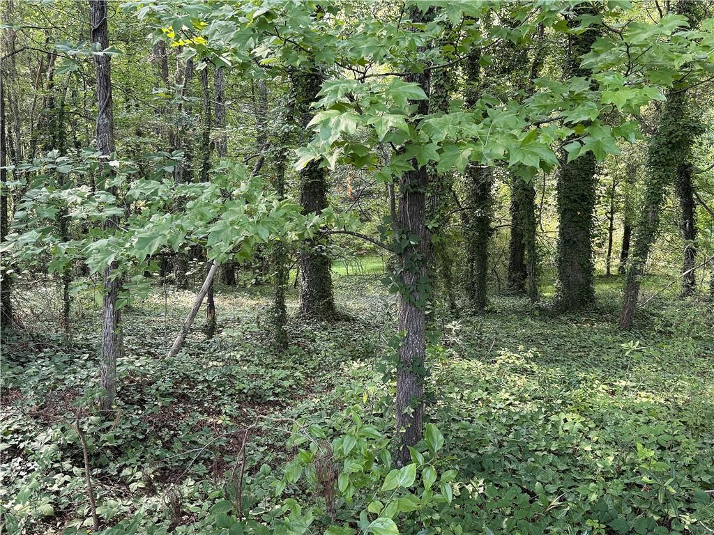 0 Boxer Lane
