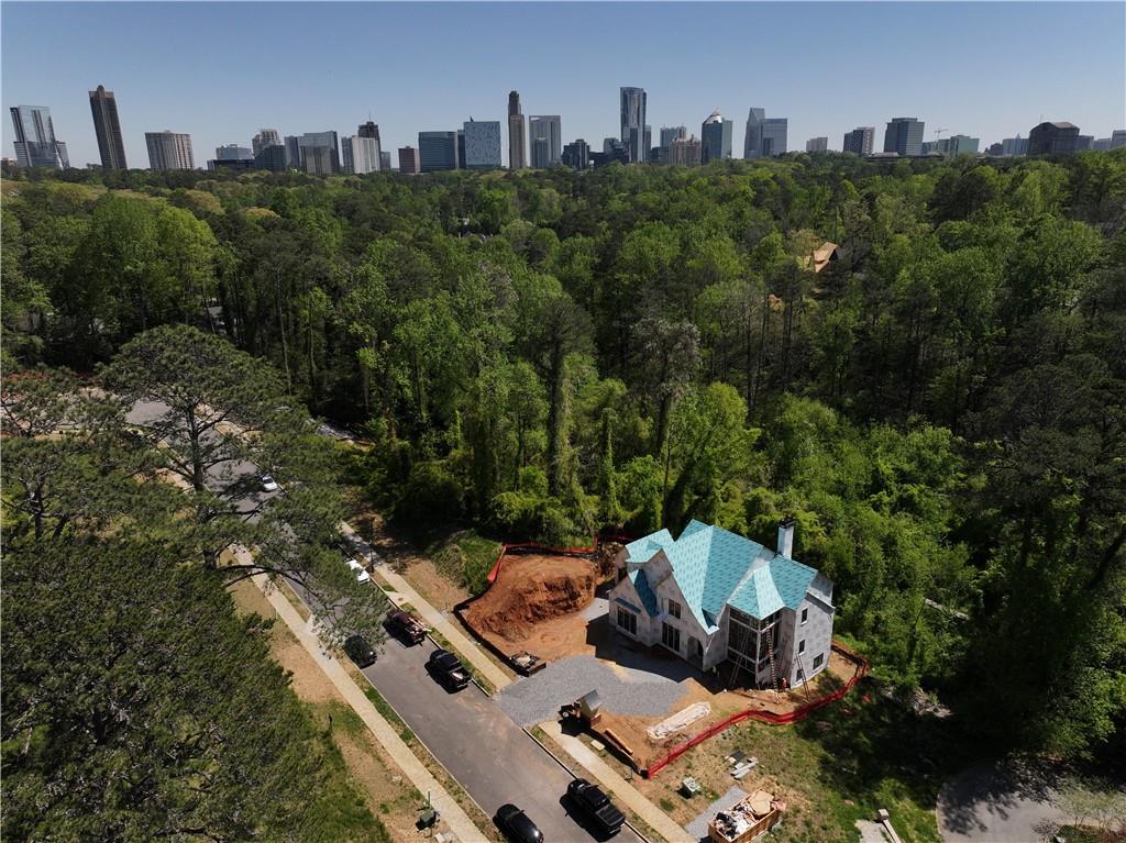 469 Emily Reed Lot 11 Lane, Atlanta, Georgia image 9