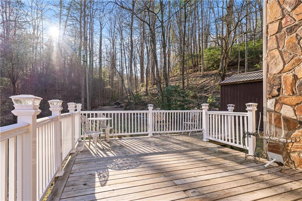 3360 Turniptown Road, Ellijay, Georgia image 20