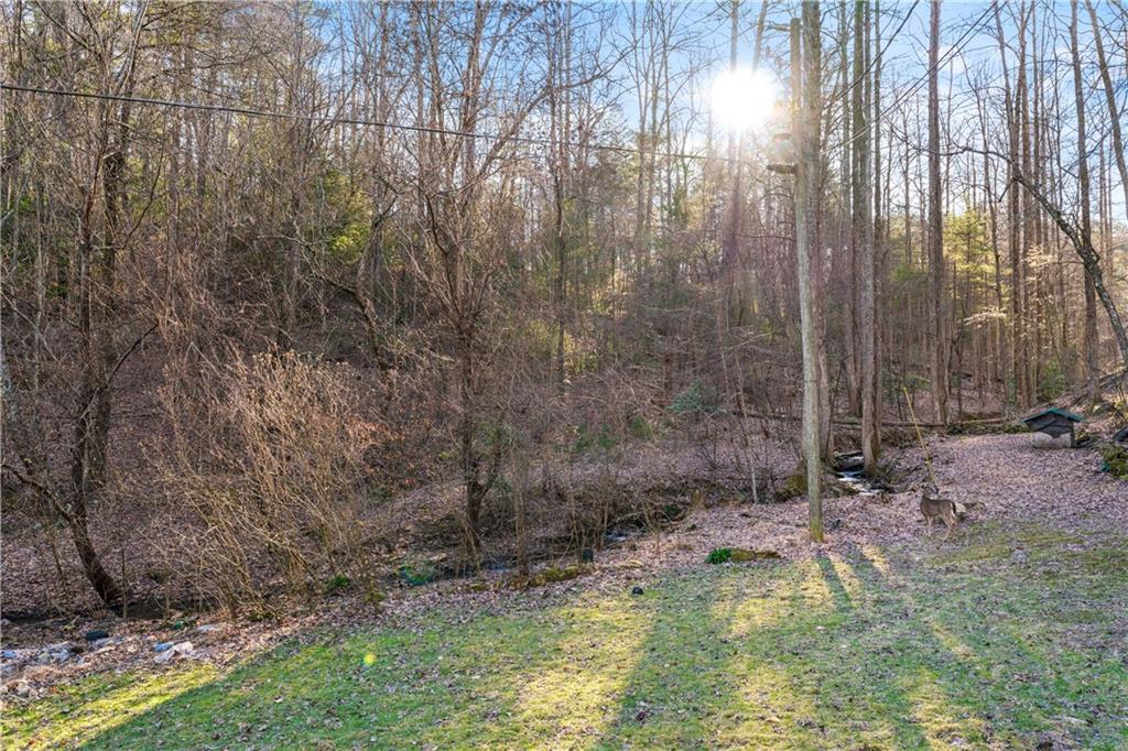 3360 Turniptown Road, Ellijay, Georgia image 25