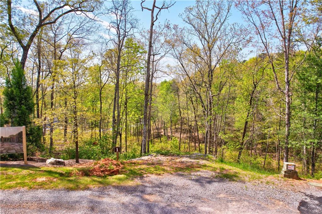 Lot #2 Jakes Landing Way, Ellijay, Georgia image 6