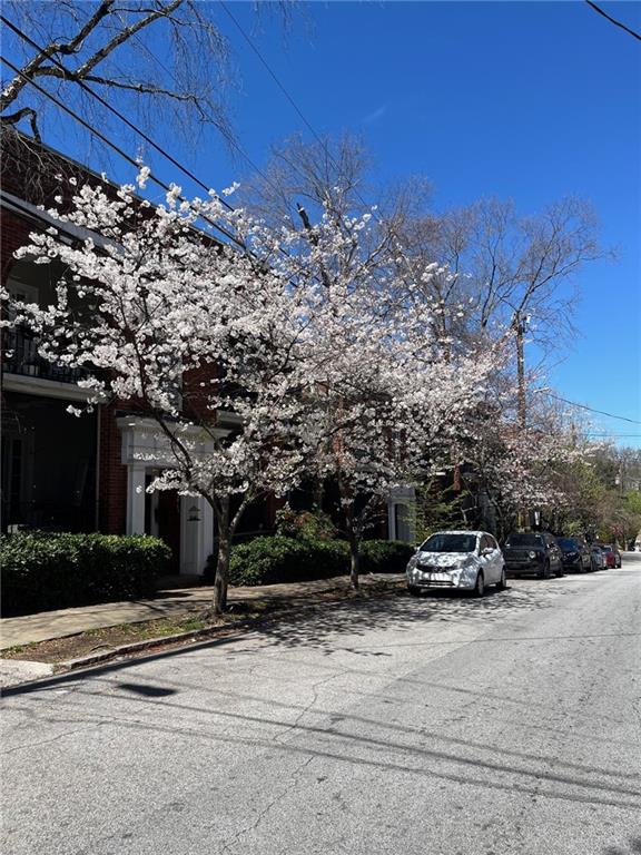 798 Frederica Street NE APT 3