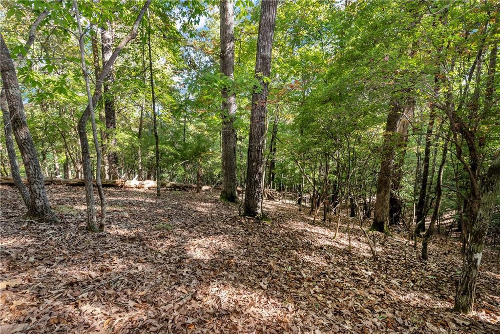 133 Stamp Mill Drive, Dahlonega, Georgia image 12