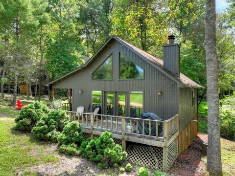 Homes For Sale - 77 Alpine Way<br/> Union County, Blairsville, GA 30512