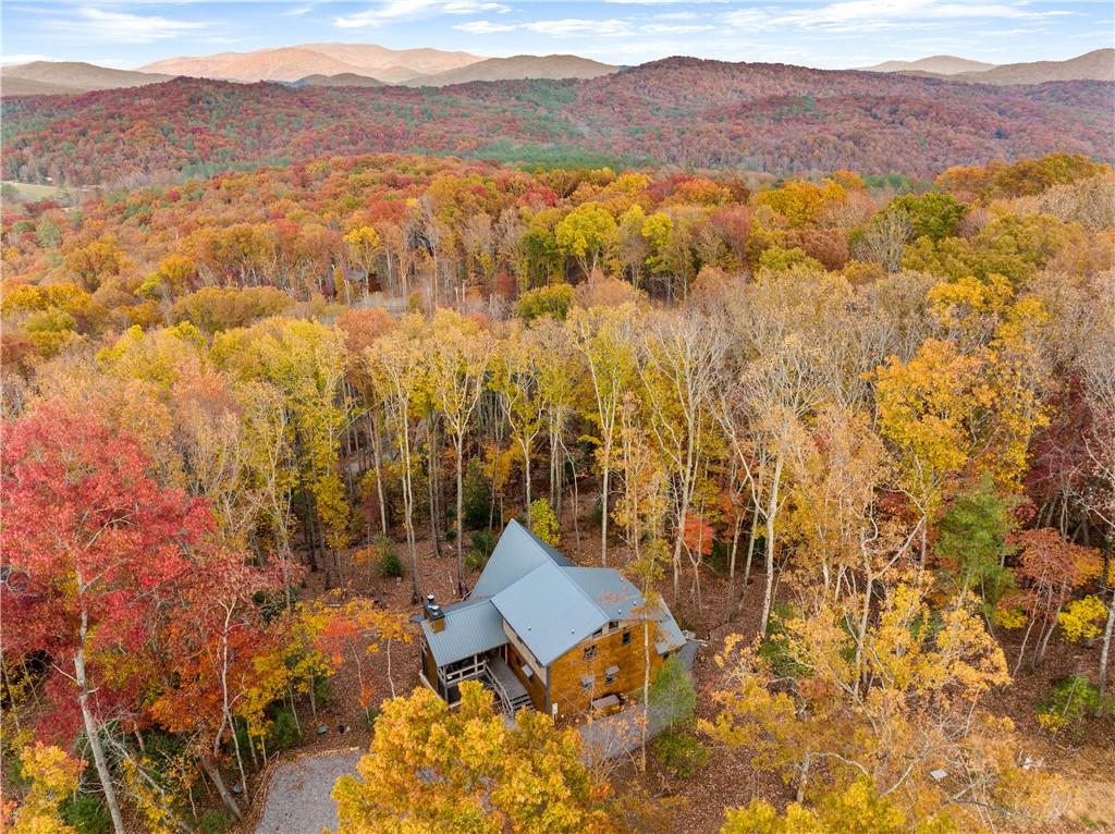 66 Valley Overlook Dr, Cherry Log, Georgia image 4