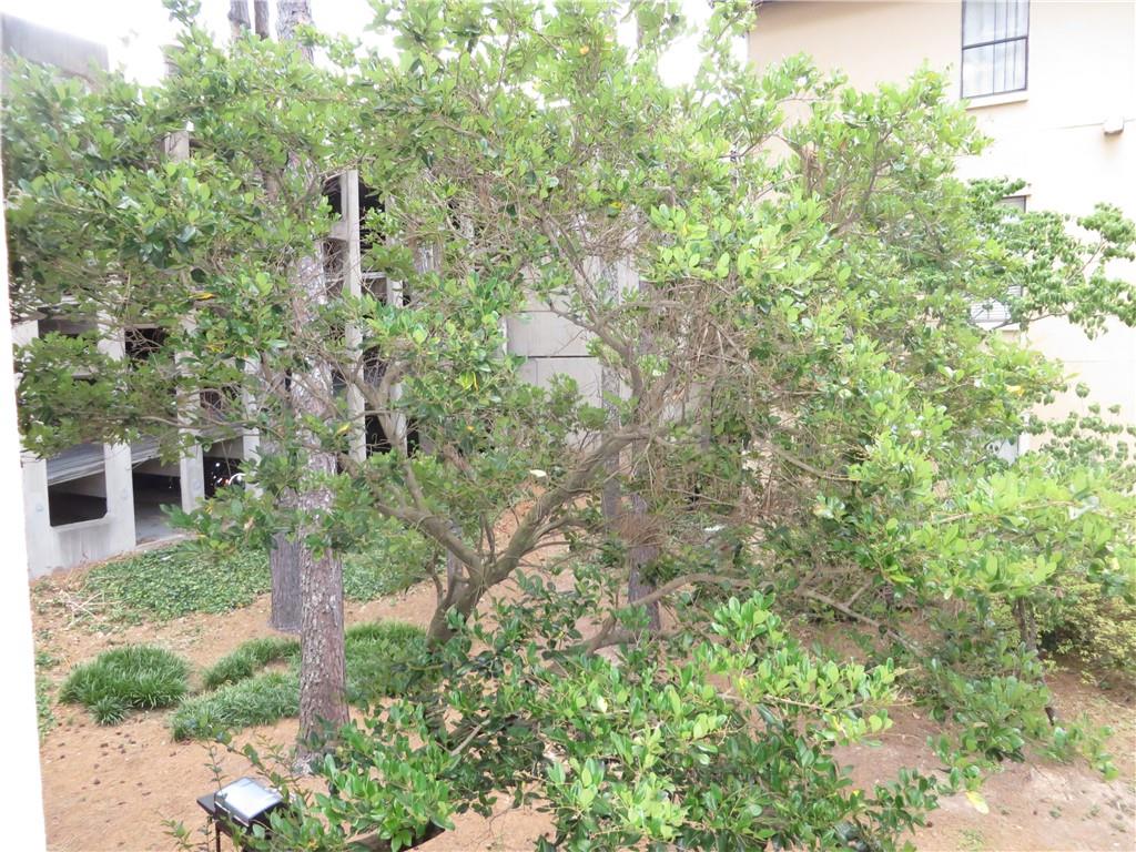 3777 Peachtree Road #1021, Atlanta, Georgia image 37