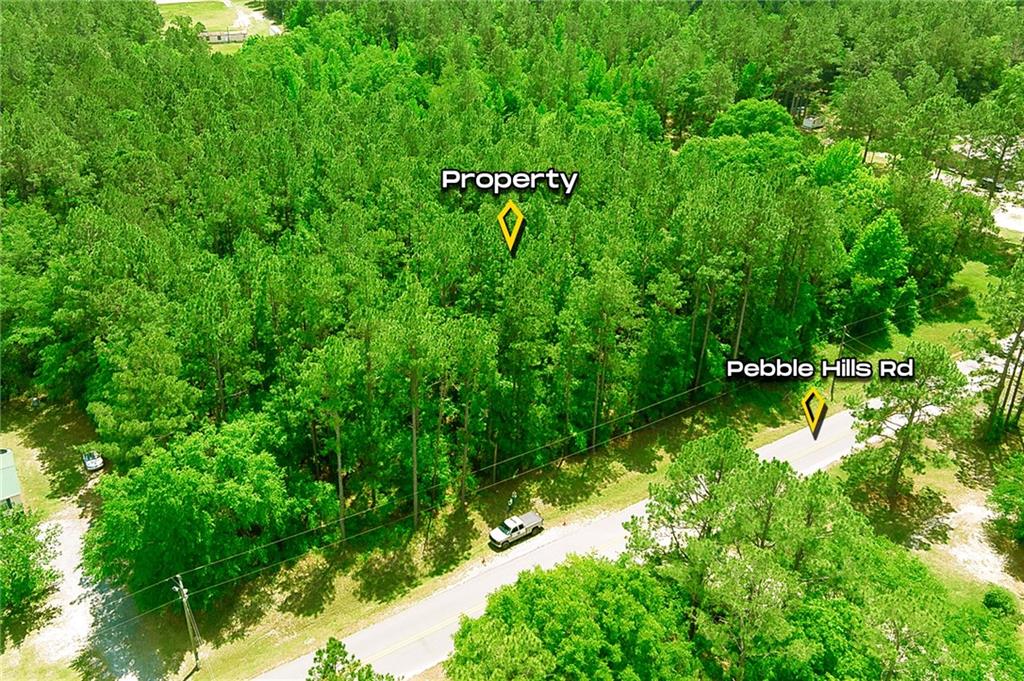 Pebble Hills Road, Cochran, Georgia image 3