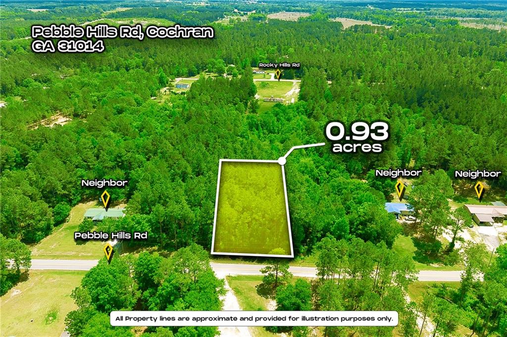 Pebble Hills Road, Cochran, Georgia image 1