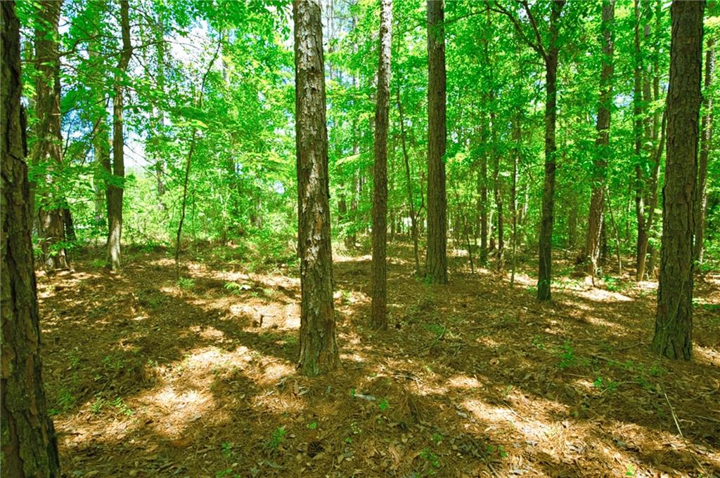Pebble Hills Road, Cochran, Georgia image 6